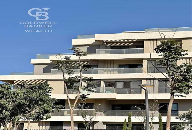 7985146 - Property Image 3