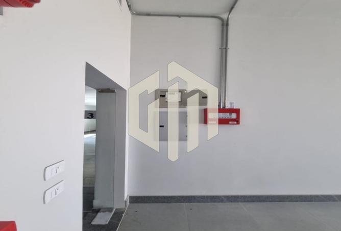 8100781 - Property Image 3
