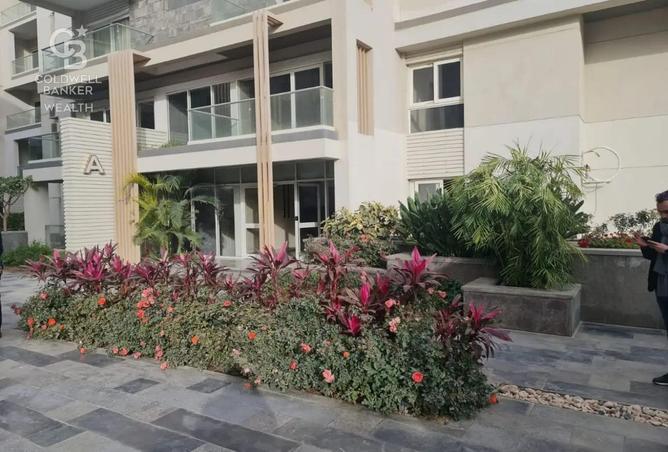 7984818 - الصورة الرئيسية للعقار