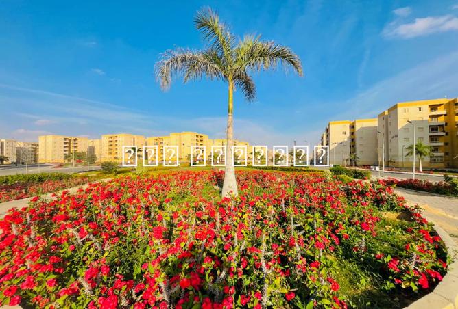 8150615 - صورة العقار 3