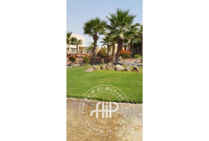 8142019 - صورة العقار 3