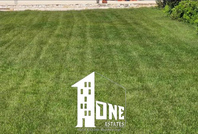 8284240 - صورة العقار 2