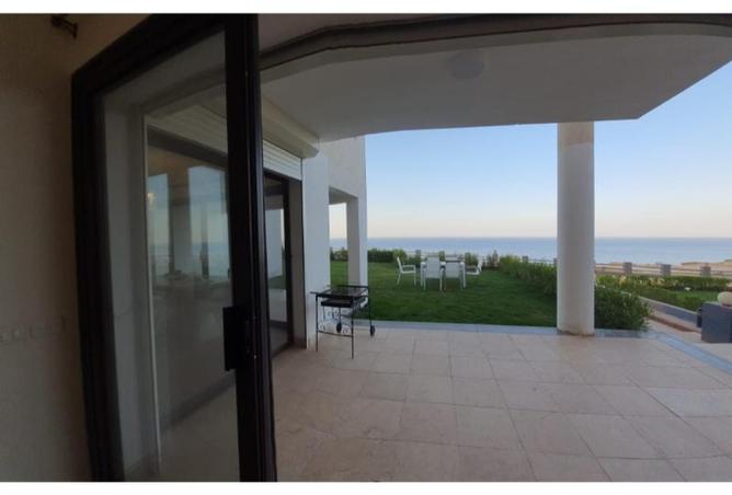 8173378 - Property Image 3