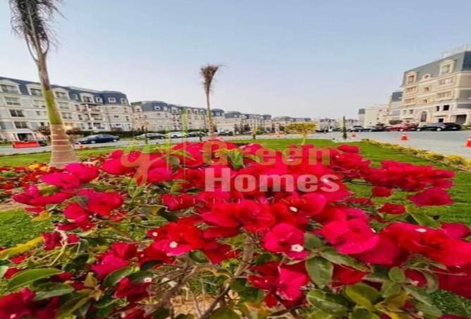 8309867 - Property Image 2