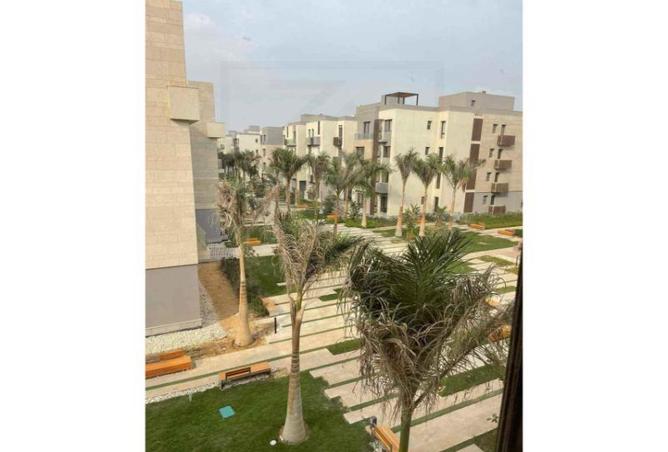 7970343 - صورة العقار 2