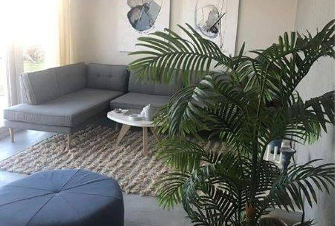 8203501 - Property Main Image