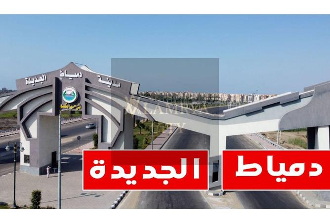 8491376 - صورة العقار 3