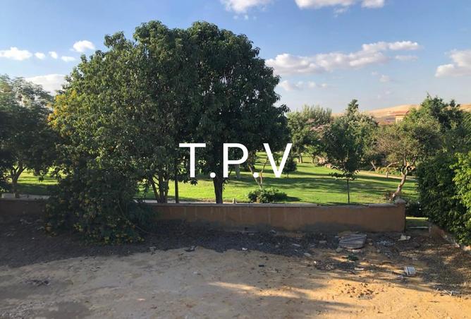 8225511 - Property Image 3