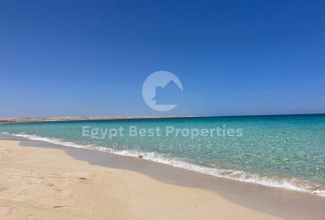 7915662 - صورة العقار 3