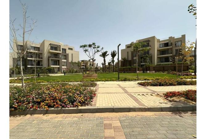 7998899 - Property Image 2