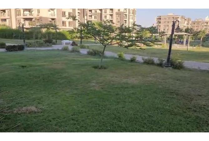 8175465 - Property Image 2