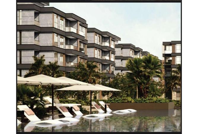 7997485 - Property Image 2