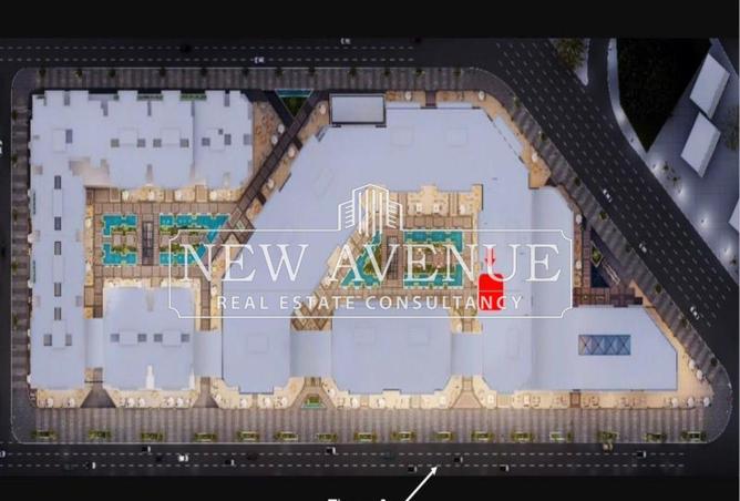 8338930 - Property Image 3