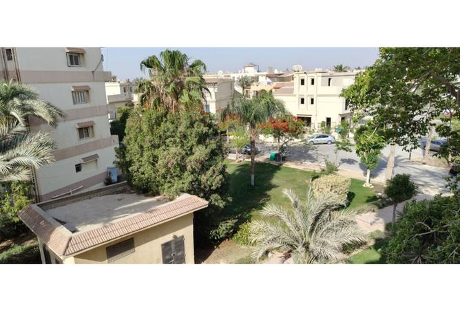 8416568 - صورة العقار 3