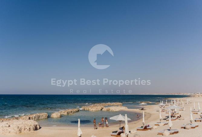 7999863 - صورة العقار 3