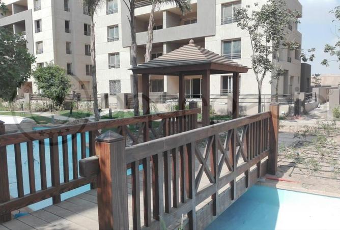 8447448 - Property Image 3