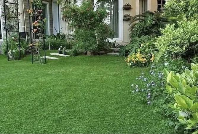 8560013 - Property Image 2