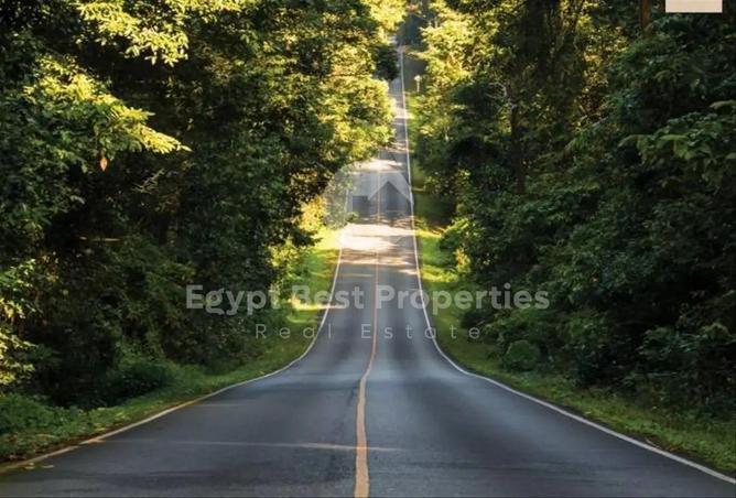 8440914 - Property Image 2