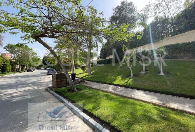 8017800 - Property Image 3