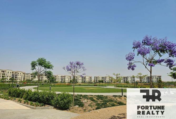 8489758 - Property Image 3