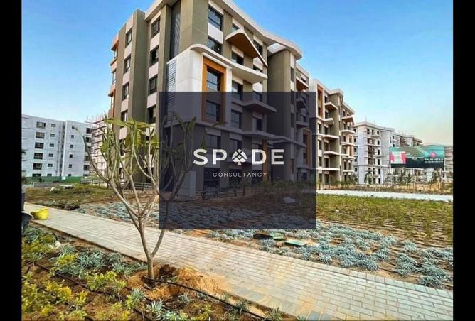 8453975 - Property Image 3