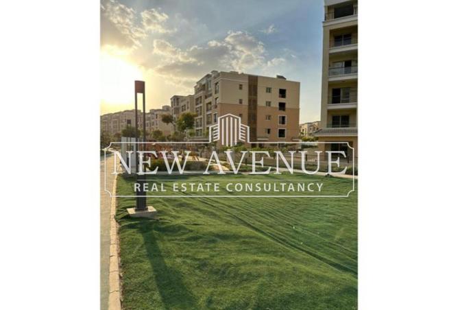 8231167 - Property Image 3