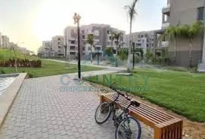 8276196 - Property Image 2