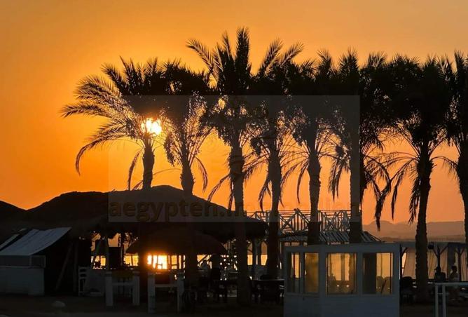 7948997 - الصورة الرئيسية للعقار