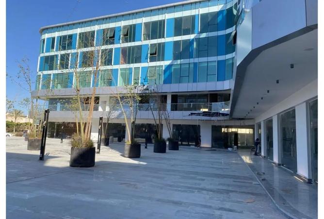 8444326 - Property Image 2