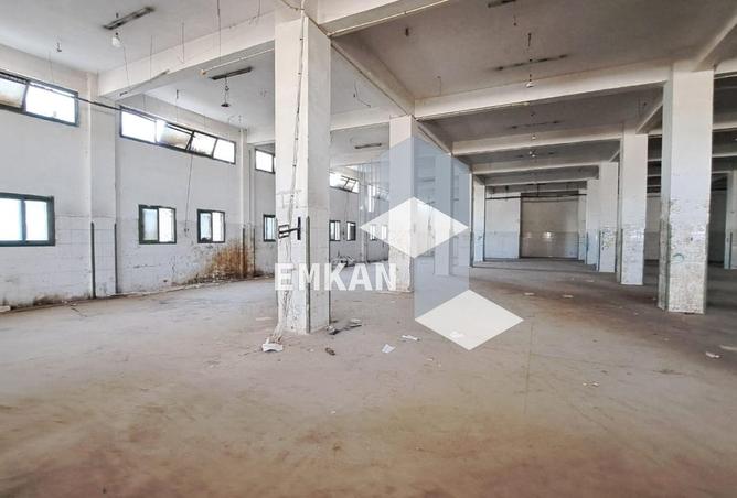 8192780 - صورة العقار 3