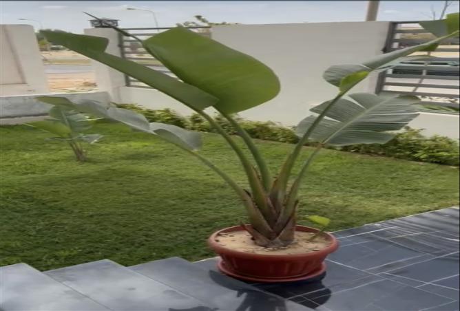 8008254 - Property Main Image