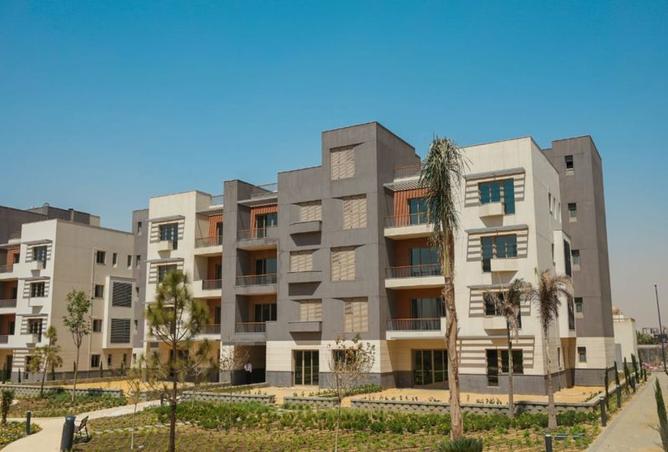 8139801 - Property Image 3