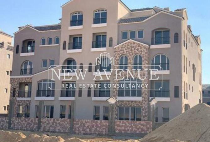 8234213 - Property Image 3