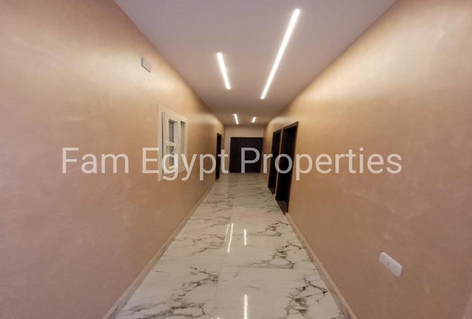 7895216 - Property Image 3