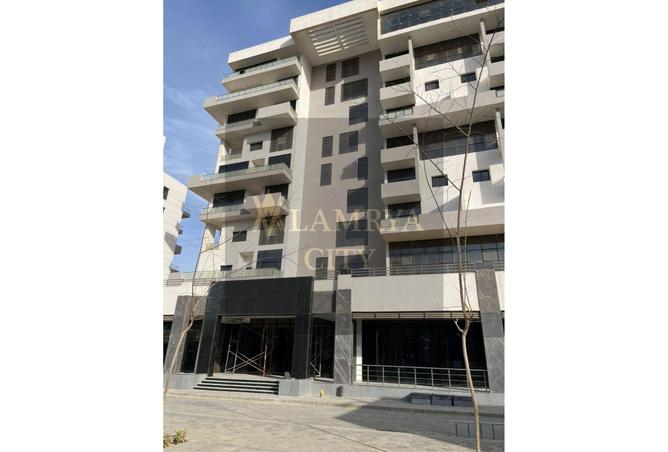 8364398 - Property Image 3