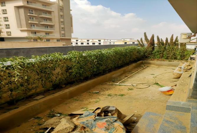 7978961 - صورة العقار 2