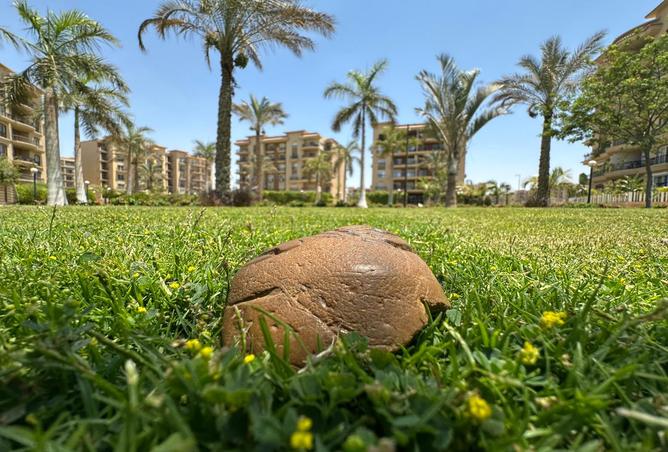 7986429 - الصورة الرئيسية للعقار