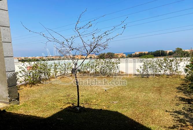 8295172 - صورة العقار 2