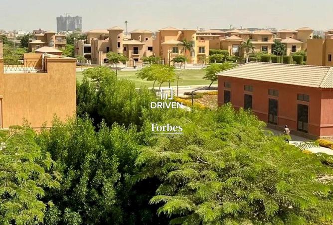 8251290 - Property Image 3