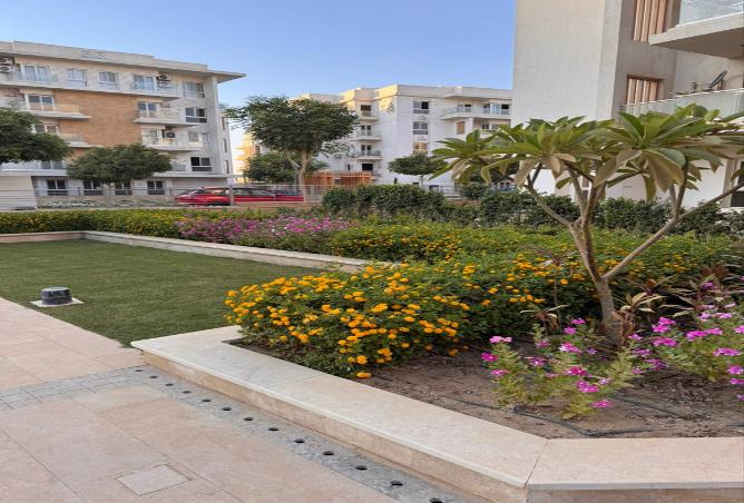 7994755 - Property Image 3