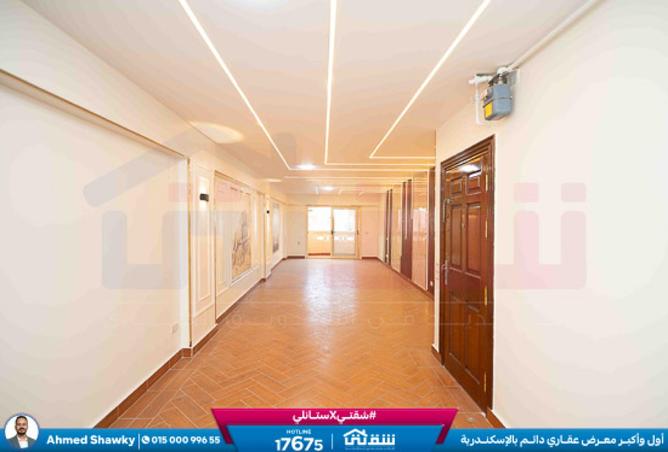 8394465 - Property Image 2