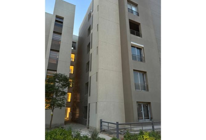 8131686 - Property Image 3