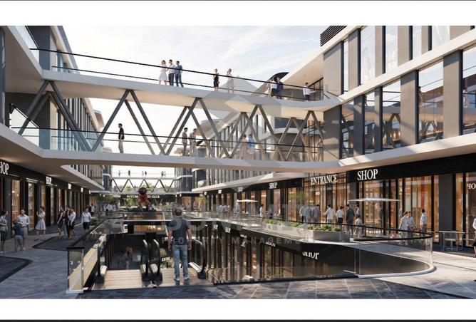 8233871 - Property Image 3