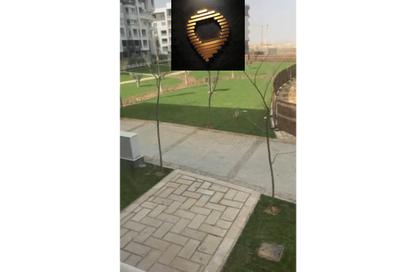 Apartment - 3 Bedrooms - 3 Bathrooms for rent in Madinaty - Cairo