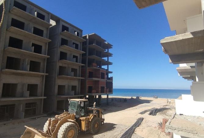7998625 - Property Image 2
