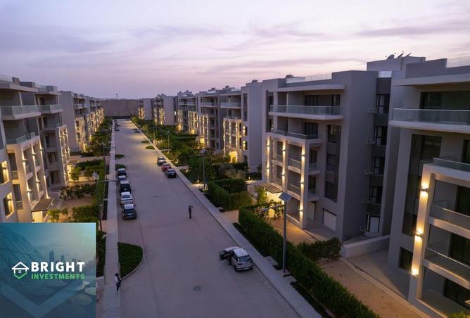 8347213 - Property Image 3