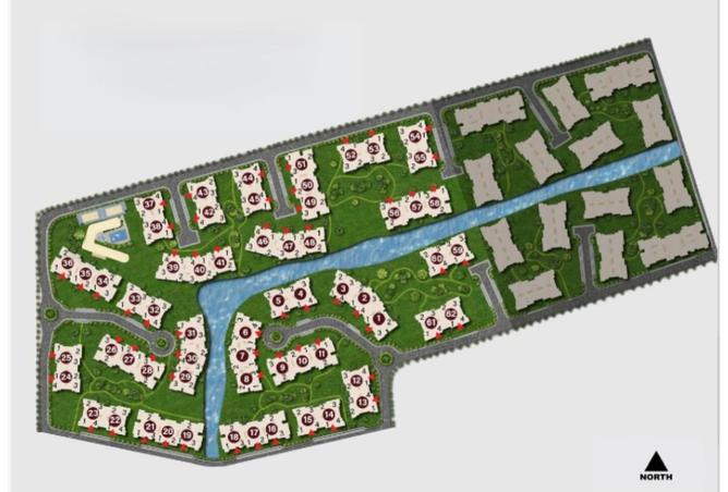 8042658 - Property Image 3