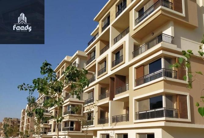 7973254 - Property Image 3