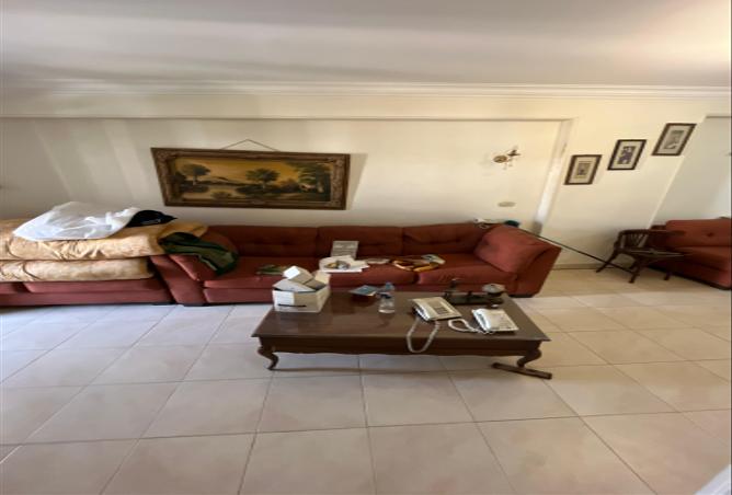 7985389 - Property Image 3
