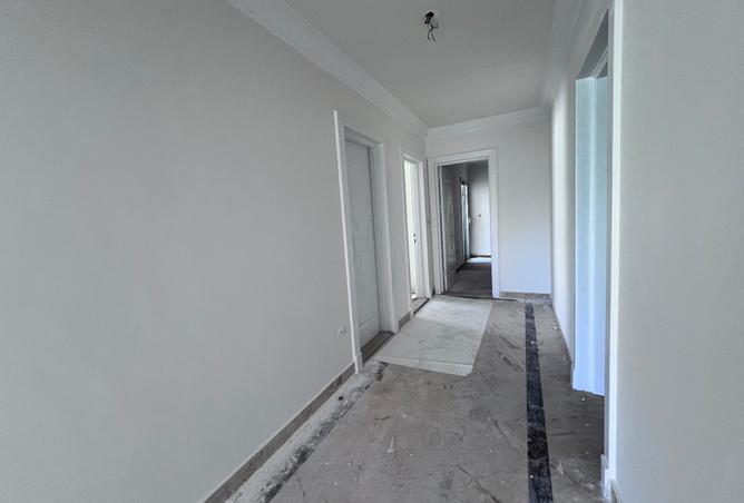 8482892 - Property Image 3